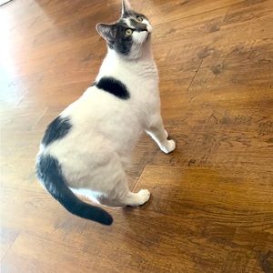 Meet your Posher, Cierra